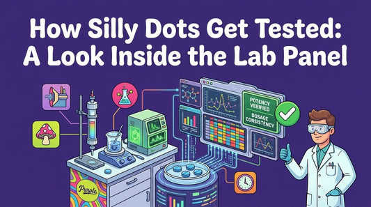 How Silly Dots Get Tested A Look Inside the Lab Panel blog by Purple & Co. 